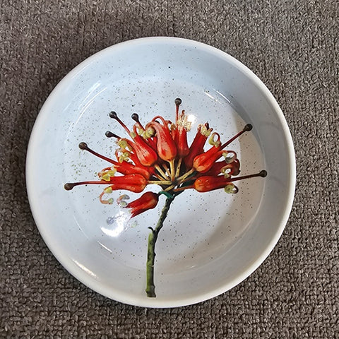 ANGUS AND CELESTE SIDE PLATE GREVILLEA