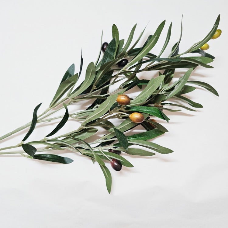 GREEN OLIVE STEM WITH FRUIT