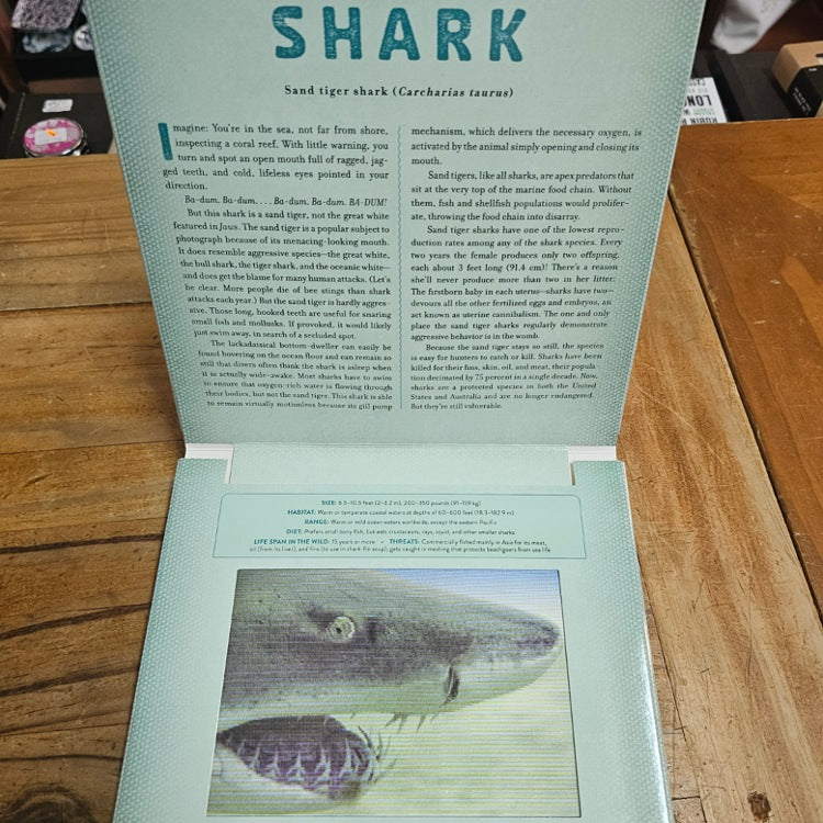 PHOTICULAR BOOK OCEAN