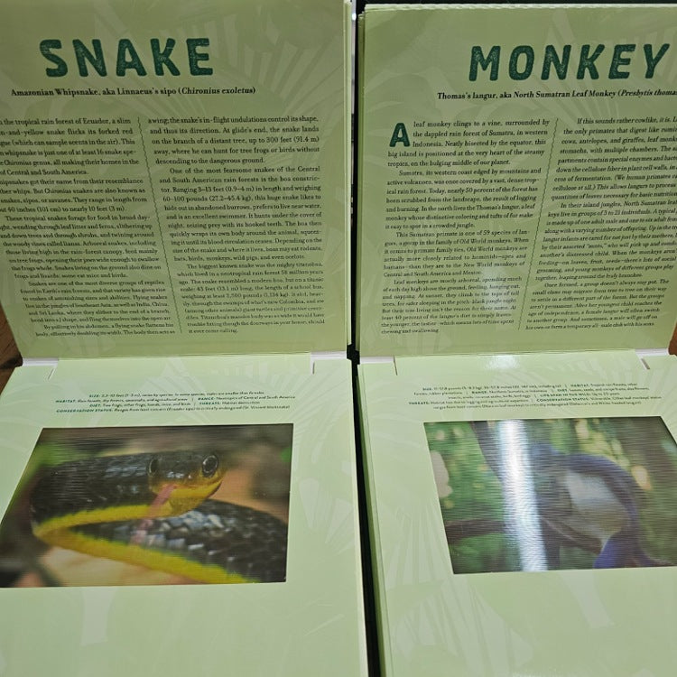 PHOTICULAR BOOK JUNGLE
