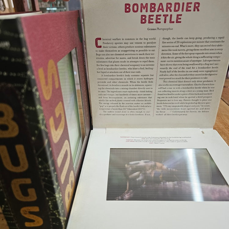 PHOTICULAR BOOK BUGS