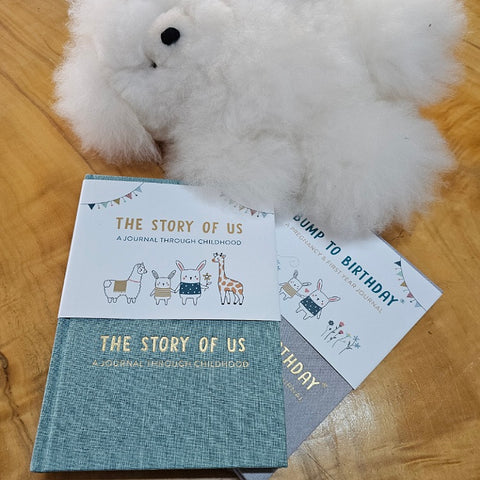 BOOK BUMP TO BIRTHDAY [THEME:STORY OF US]