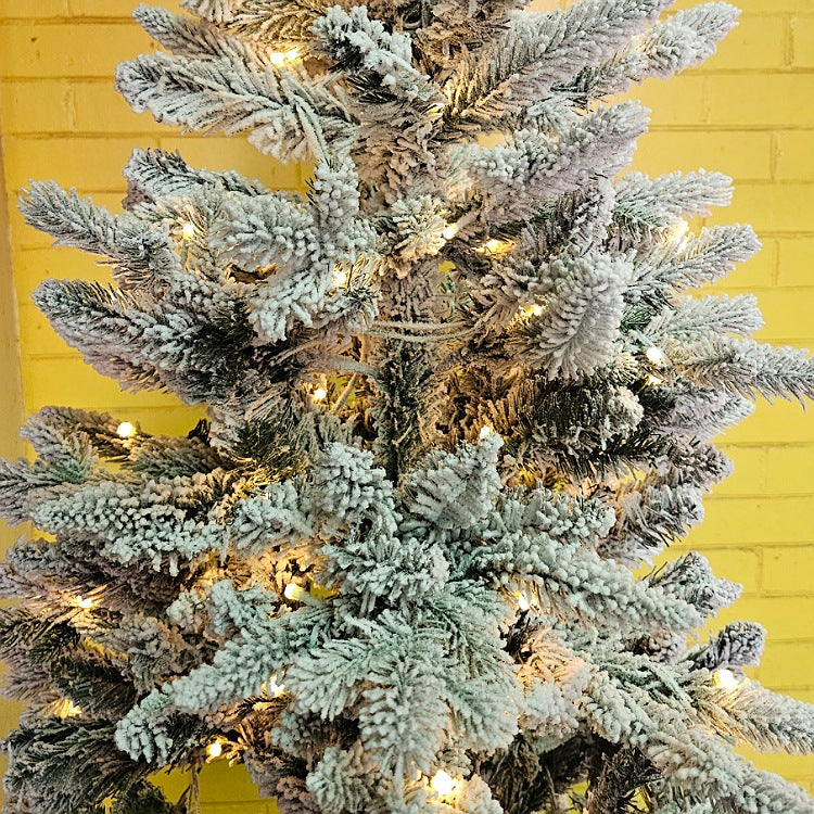 CHRISTMAS TREE SIX FT ASPEN FIR