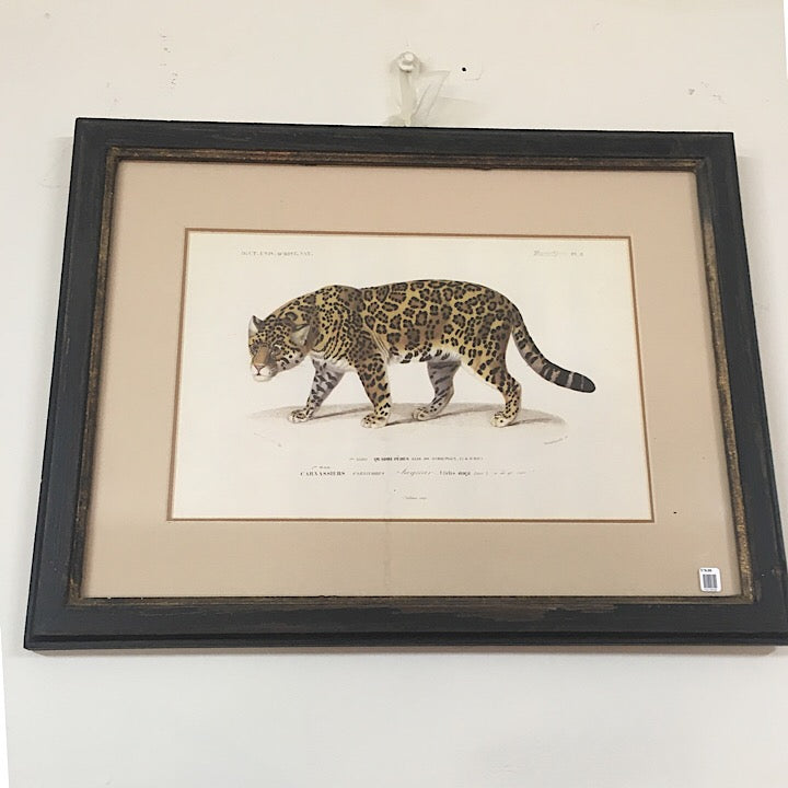 FRAMED LEOPARD PRINT