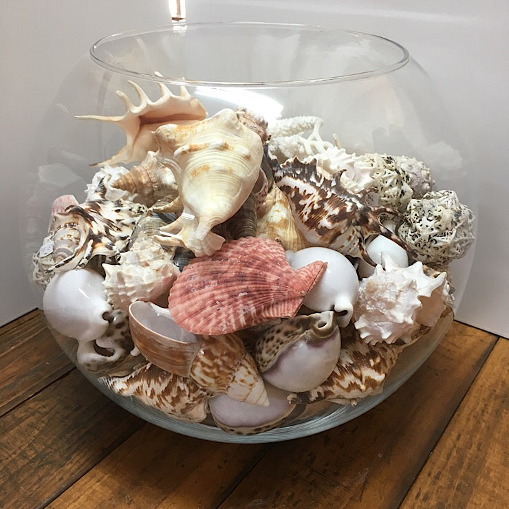 GLASS BOWL