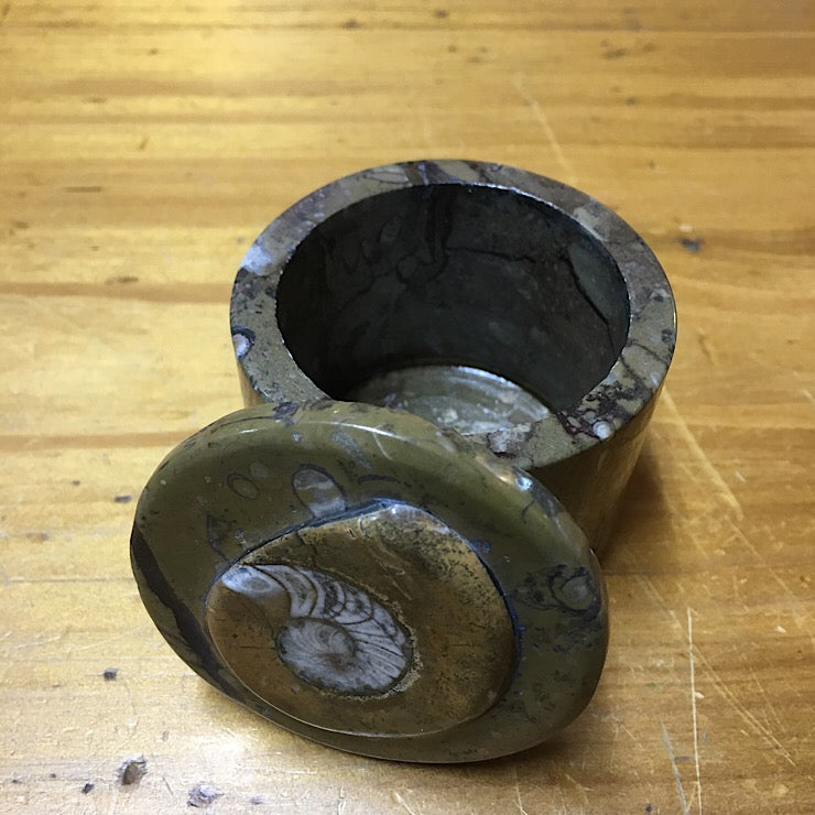 MARBLE POT WITH GONIATITE LID