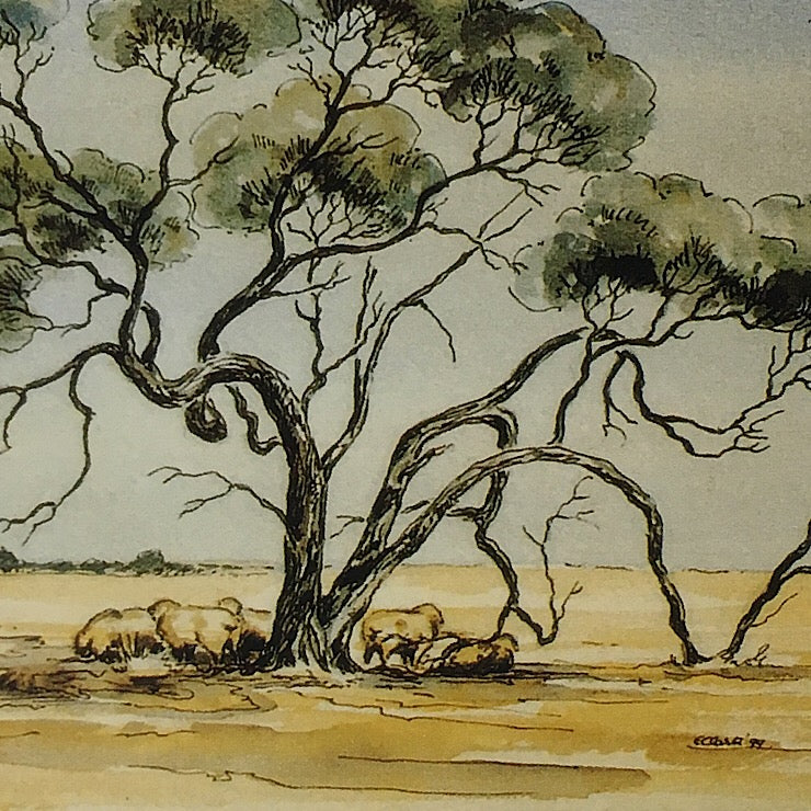 THUMPERS BOXED CARDS