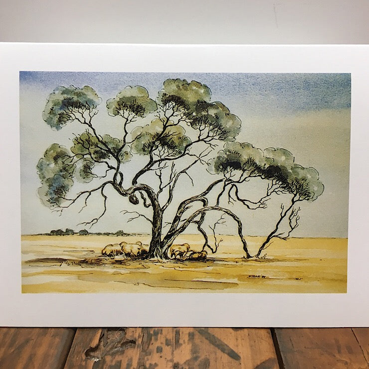 THUMPERS BOXED CARDS