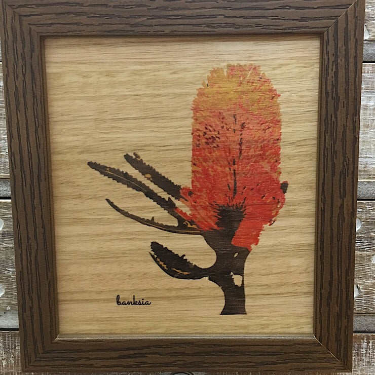 AUSTRALIAN MADE COLOURED BANKSIA FRAMED