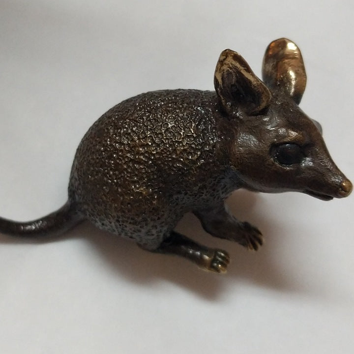 BRONZE LONG TAILED DUNNART