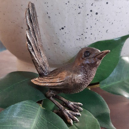 BRONZE MINIATURE FAIRY WREN TAIL UP