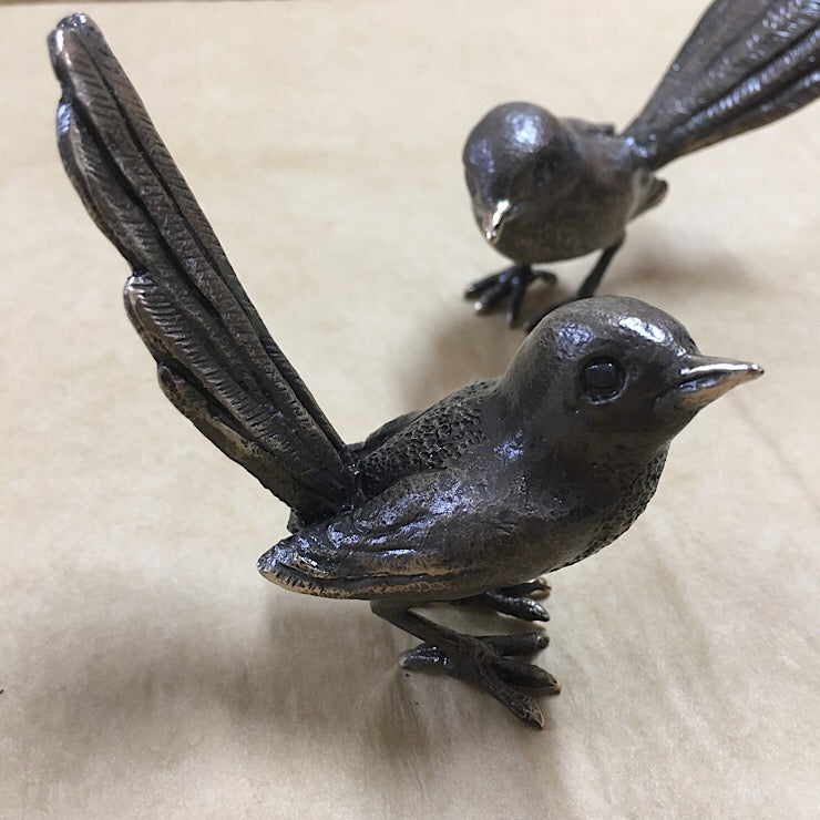 BRONZE MINIATURE FAIRY WREN TAIL UP