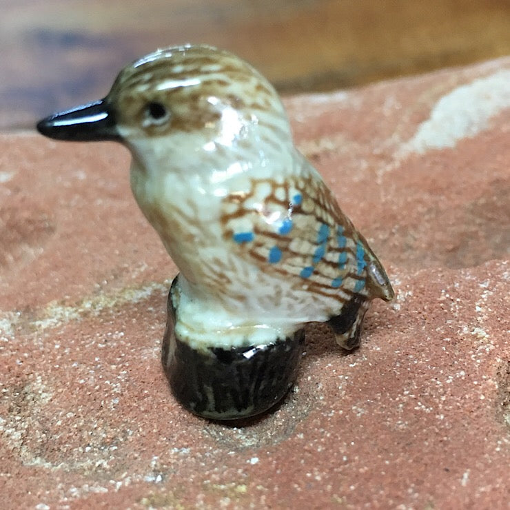 KOOKABURRA ON SMALL STUMP