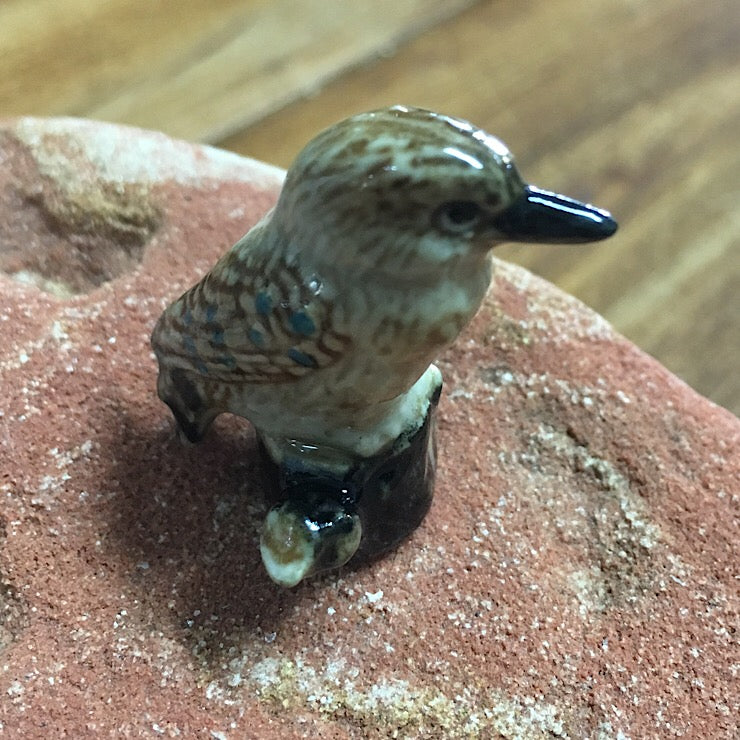 KOOKABURRA ON SMALL STUMP