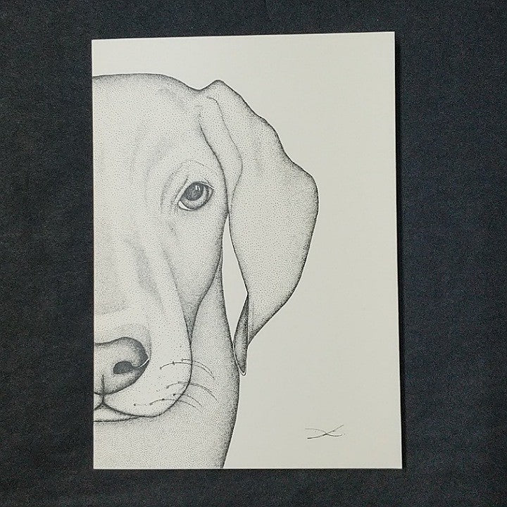 DOTS BY DONNA GREETING CARD