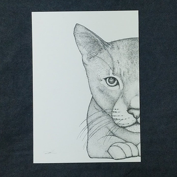 DOTS BY DONNA GREETING CARD