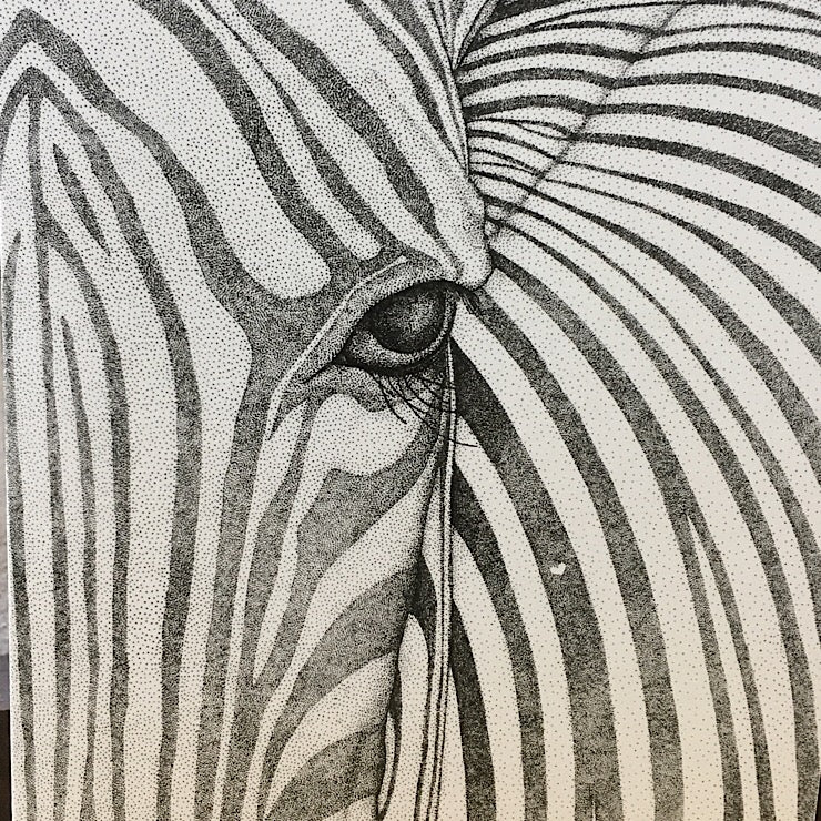 ZANE THE ZEBRA GREETING CARD