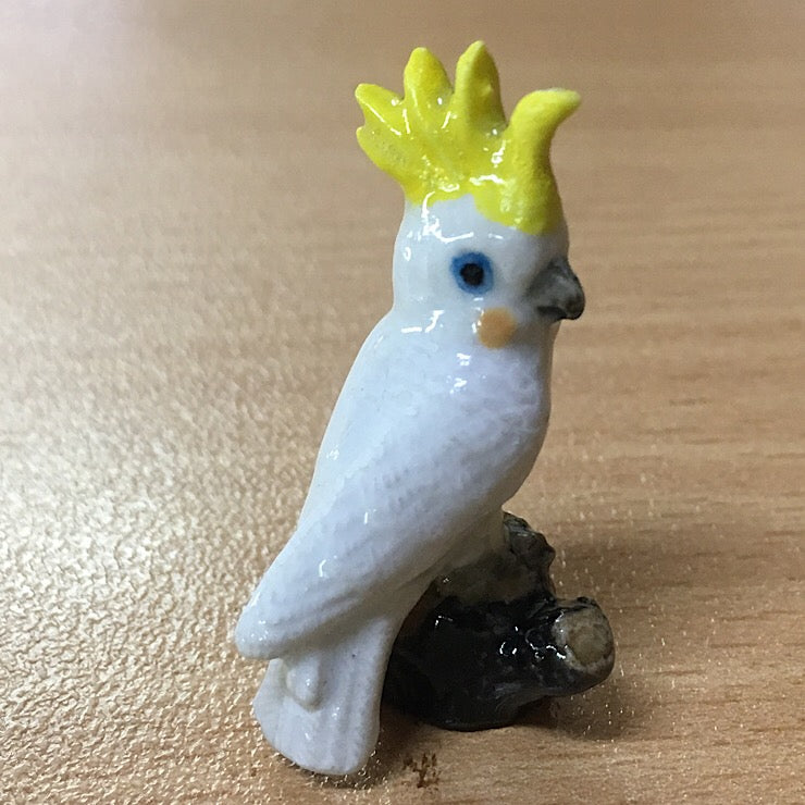 SULPHUR CRESTED COCKATOO ON STUMP