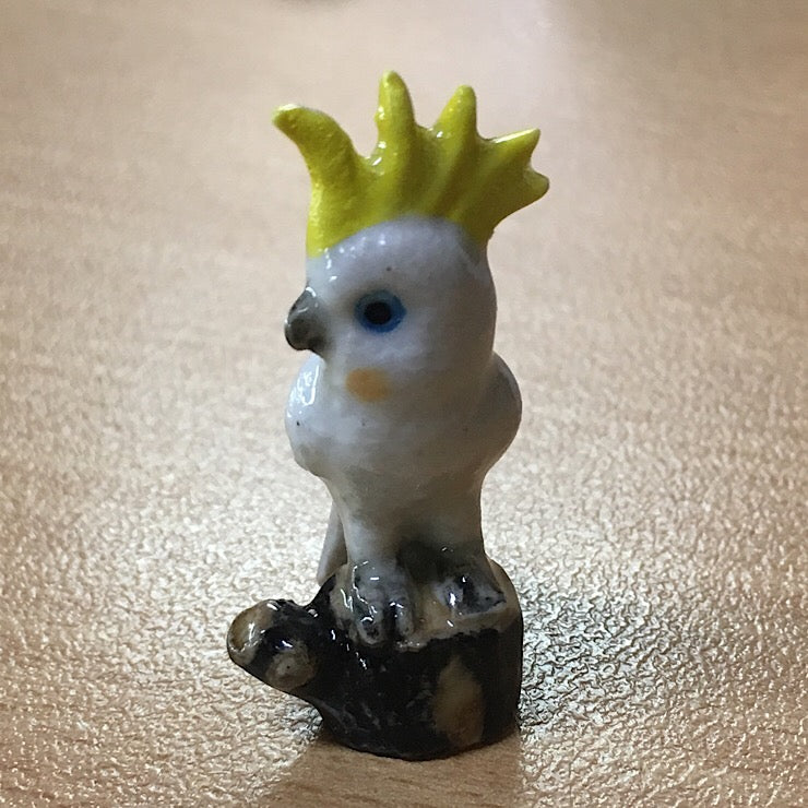 SULPHUR CRESTED COCKATOO ON STUMP