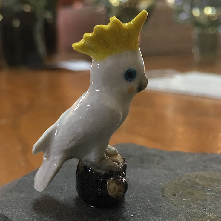 SULPHUR CRESTED COCKATOO ON STUMP