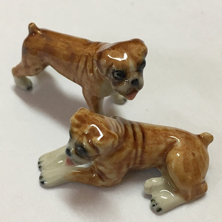 ENGLISH BOXER DOGS STANDING AND LYING