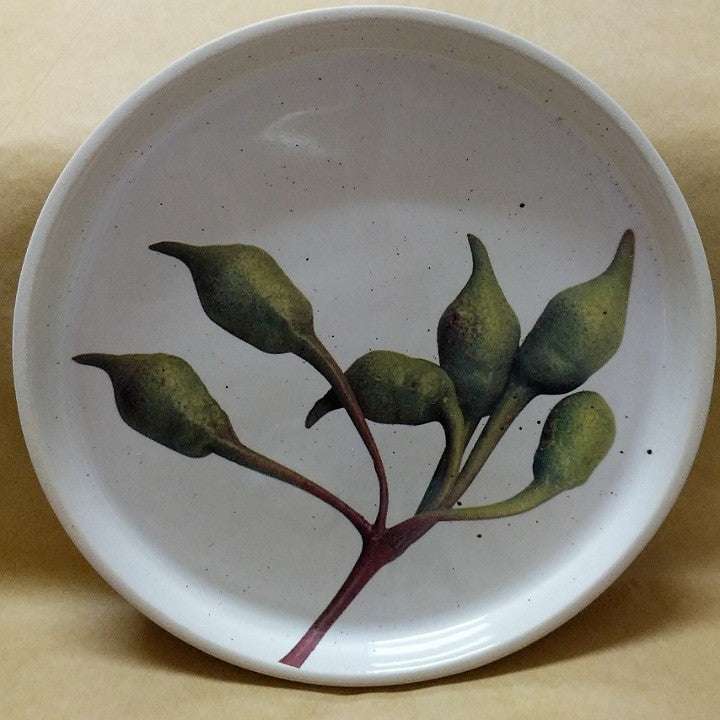 ANGUS AND CELESTE SIDE PLATE GREEN EUCALYPT BUDS