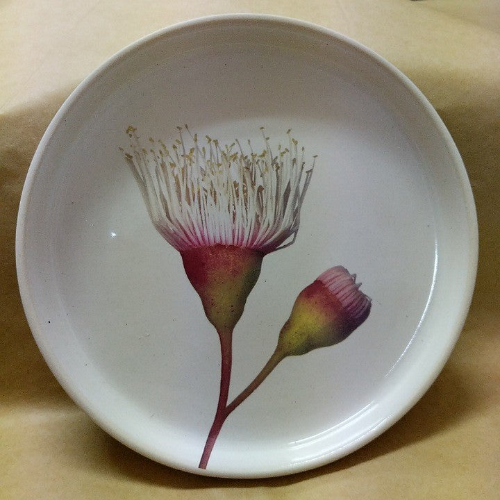 ANGUS AND CELESTE SIDE PLATE FAIRY FLOSS