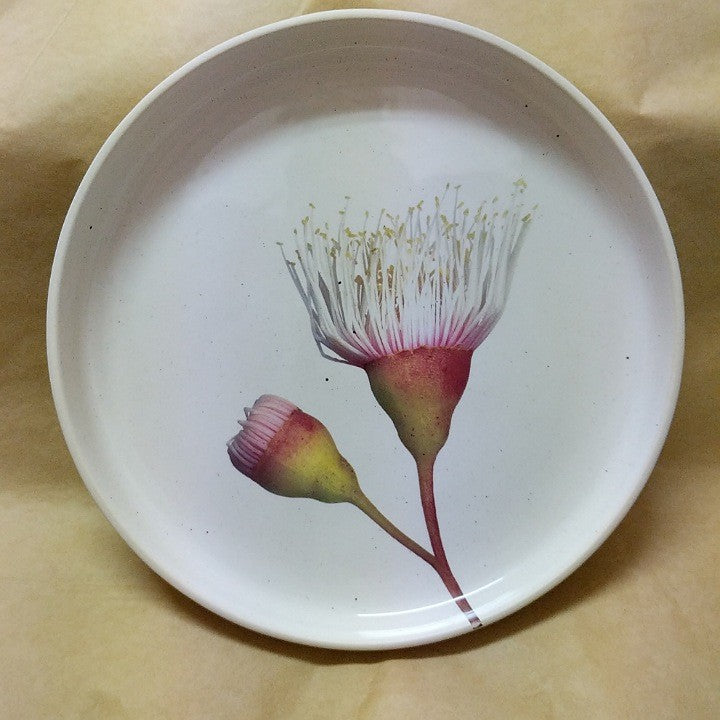 ANGUS AND CELESTE DINNER PLATE FAIRY FLOSS GUM BLOSSOM