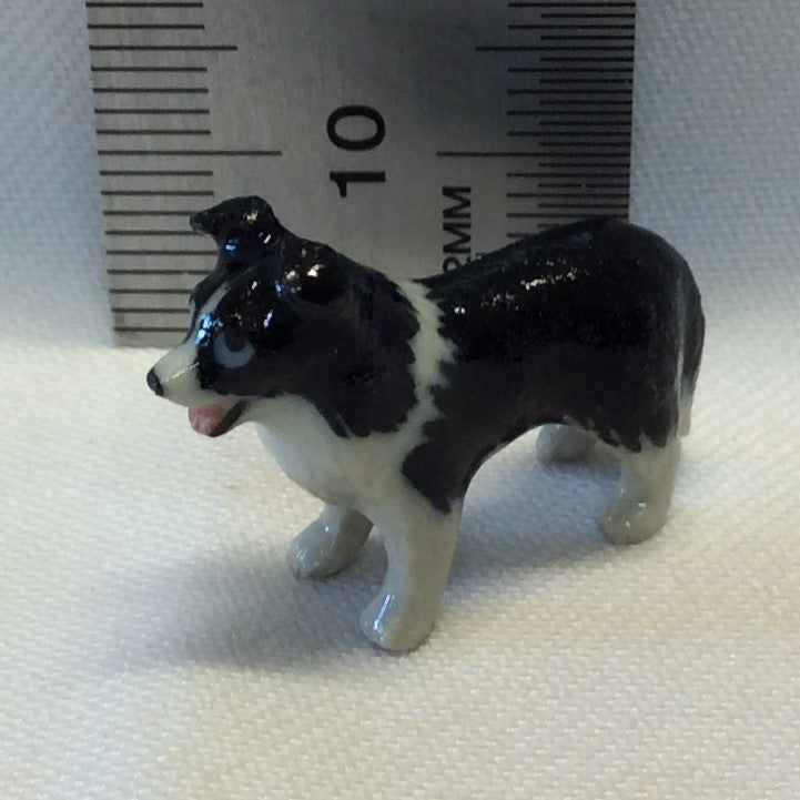 BLACK COLLIE MINI PORCELAIN TRINKET