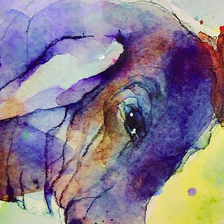 SHONAS WATERCOLOURS RECTANGULAR PLACEMATS