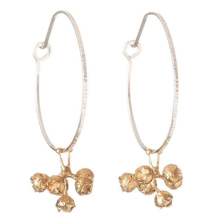 BRASS STERLING SILVER GUMNUT HOOP EARRINGS