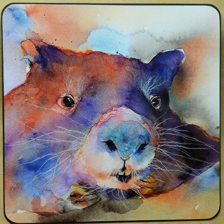 SHONAS WATERCOLOURS SQUARE PLACEMATS