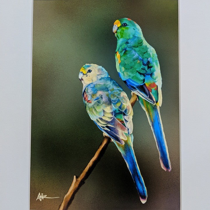 ANDI-CLAIRE PEGLER PRINT MULGA PARROTS