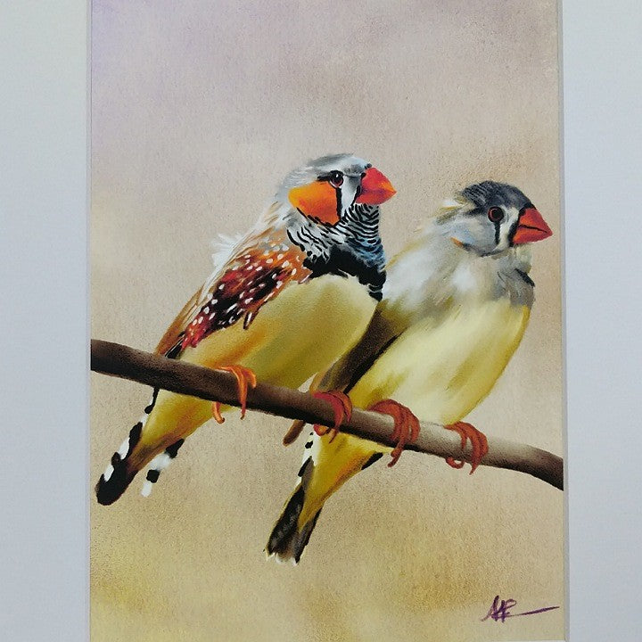 ANDI-CLAIRE PEGLER PRINT ZEBRA FINCHES