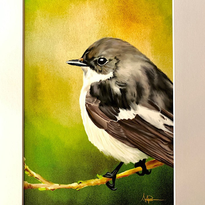 ANDI-CLAIRE PEGLER PRINT PIED FLYCATCHER