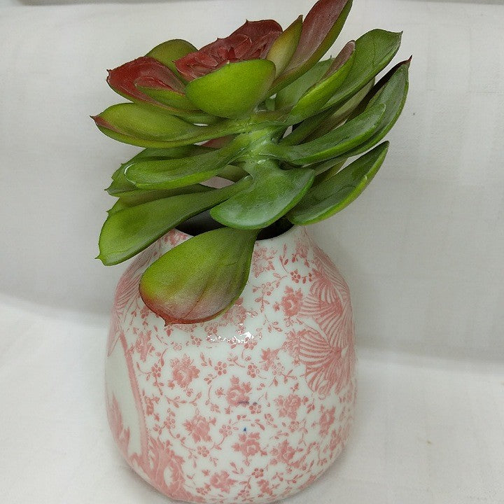 SAMANTHA ROBINSON CERAMIC FLOWER BOMB