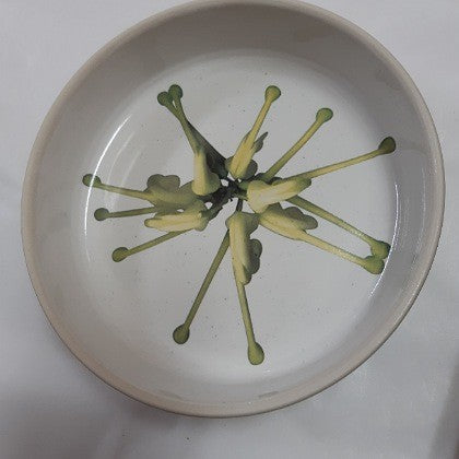 ANGUS AND CELESTE BOWL GREVILLEA GREEN STAR