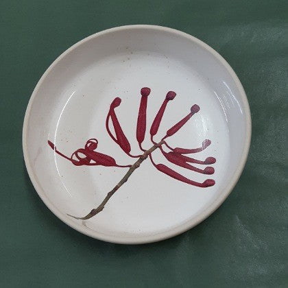 ANGUS AND CELESTE BOWL GREVILLEA