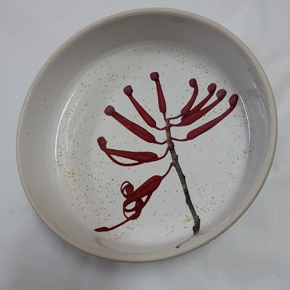 ANGUS AND CELESTE BOWL GREVILLEA