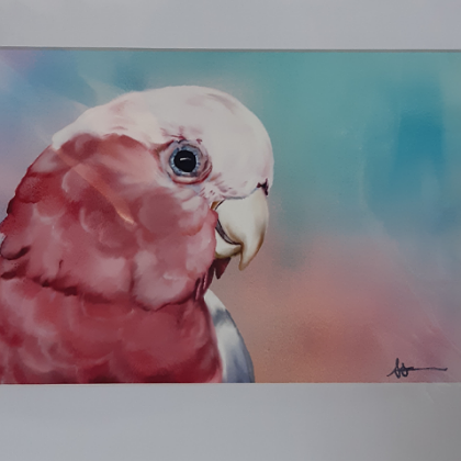 ANDI-CLAIRE PEGLER PRINT PINK AND GREY GALAH