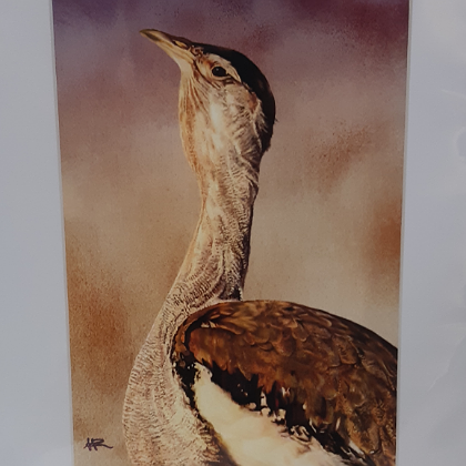 ANDI-CLAIRE PEGLER PRINT PLAINS TURKEY