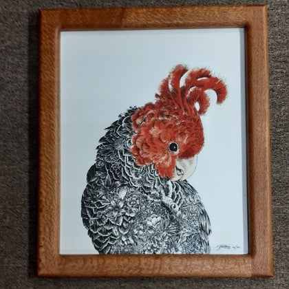 FRAMED LIMITED EDITION GICLEE PRINT GANG GANG