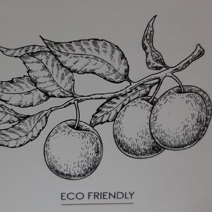 SOLID PERFUME KAKADU PLUM