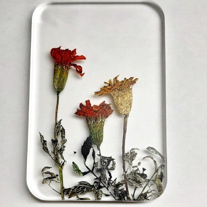 SOAP DISH WITH MARIGOLD