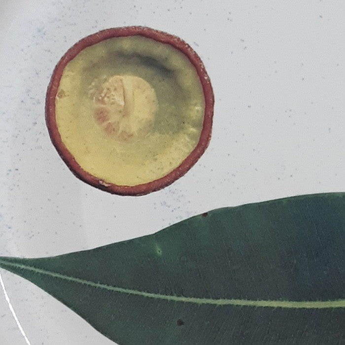 ANGUS AND CELESTE SERVER BOWL GUM NUT AND LEAF