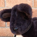 TAMBO TEDDIES WOOL DOG