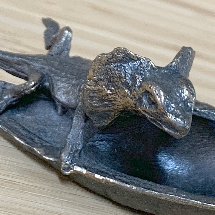 FRILLED NECK LIZARD ON BLACKBEAN