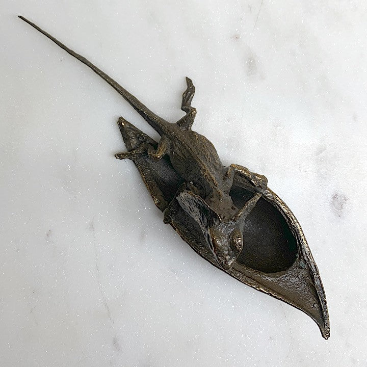 FRILLED NECK LIZARD ON BLACKBEAN