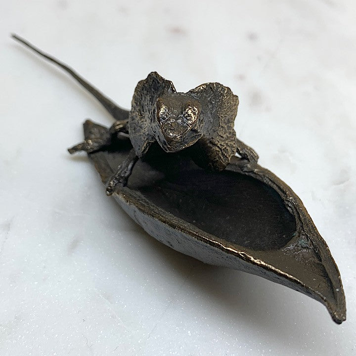 FRILLED NECK LIZARD ON BLACKBEAN