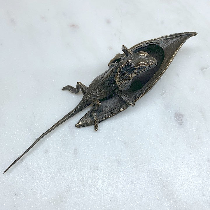 FRILLED NECK LIZARD ON BLACKBEAN